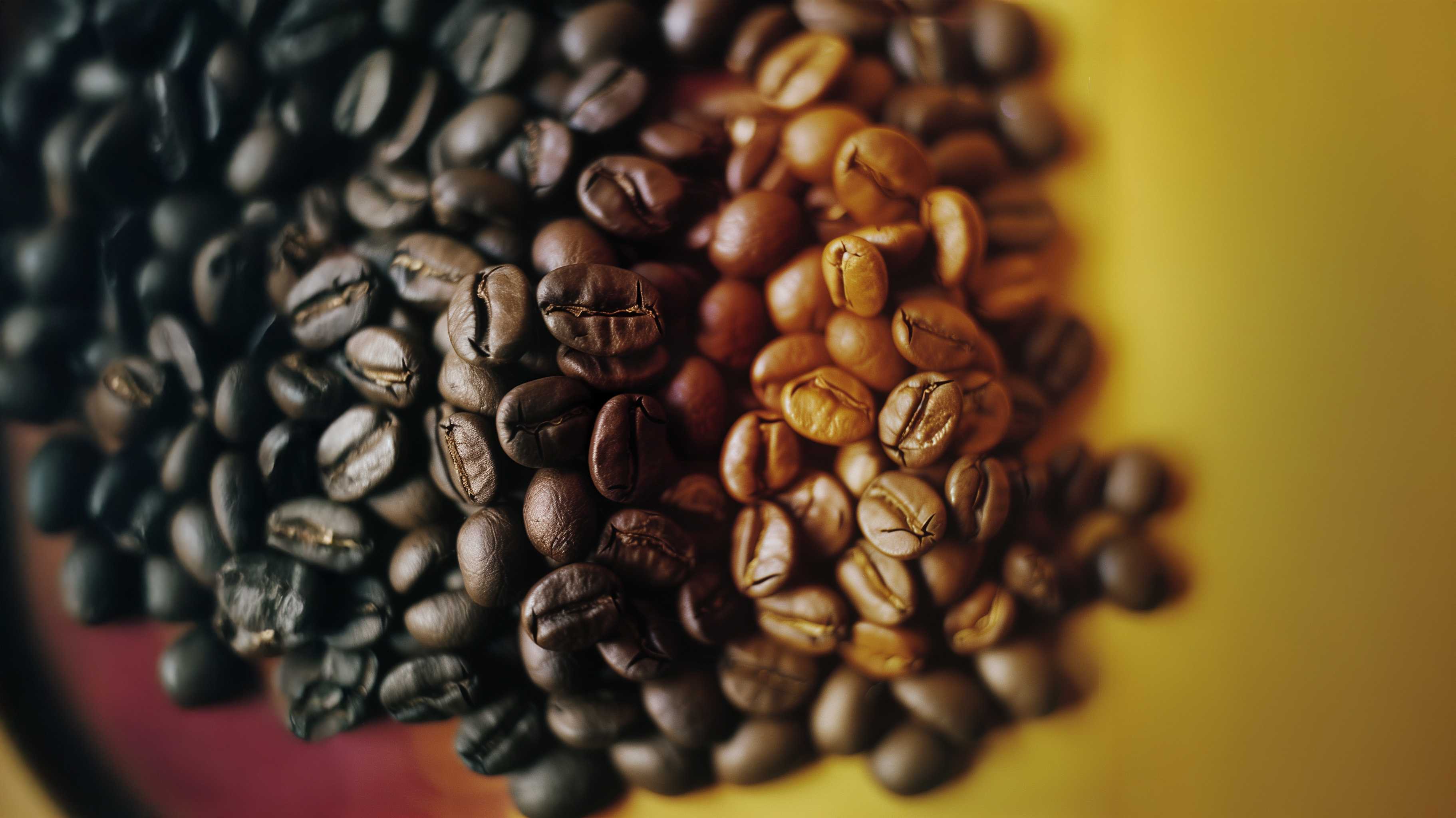 Adelitas Coffee Co